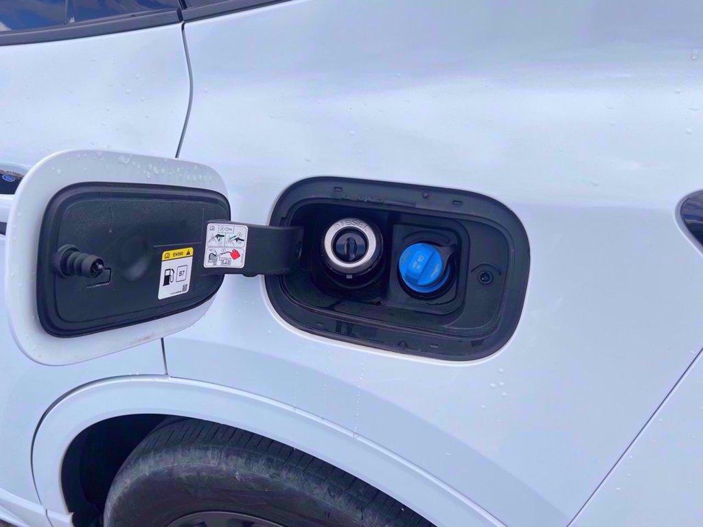 FORD Kuga 2.0 ecoblue mhev ST-Line 2wd 150cv del 2022