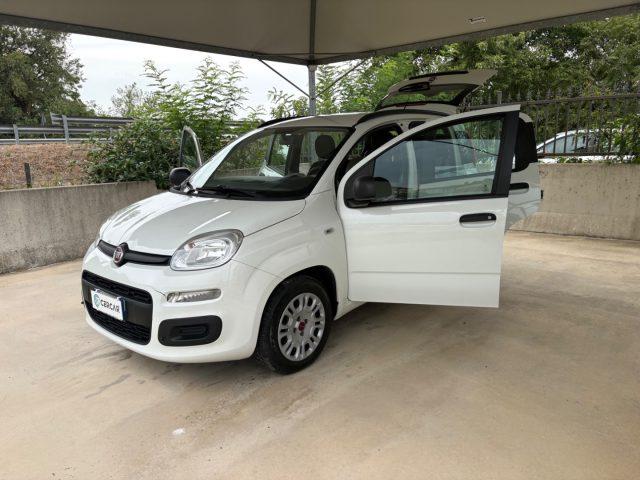 FIAT Panda 1.2 Easy EURO 6 5 POSTI OK NEOPATENTATI