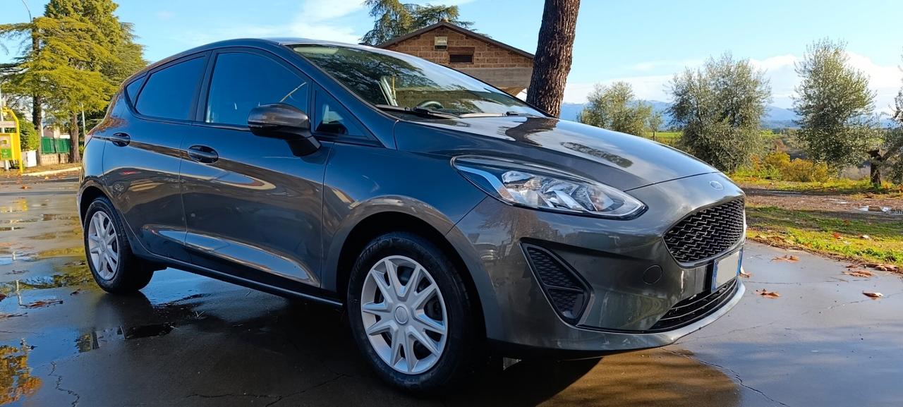 Ford Fiesta Ecoboost 95 CV 5 porte Connect