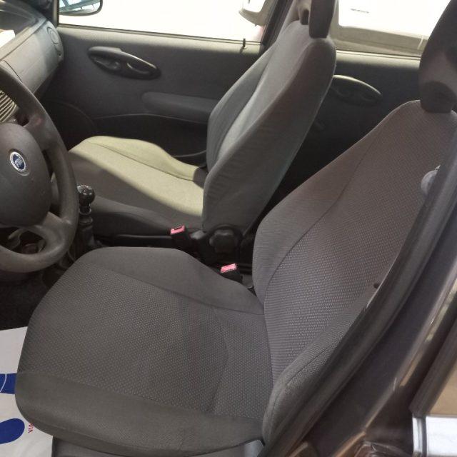 FIAT Punto 1.2 5 porte Active