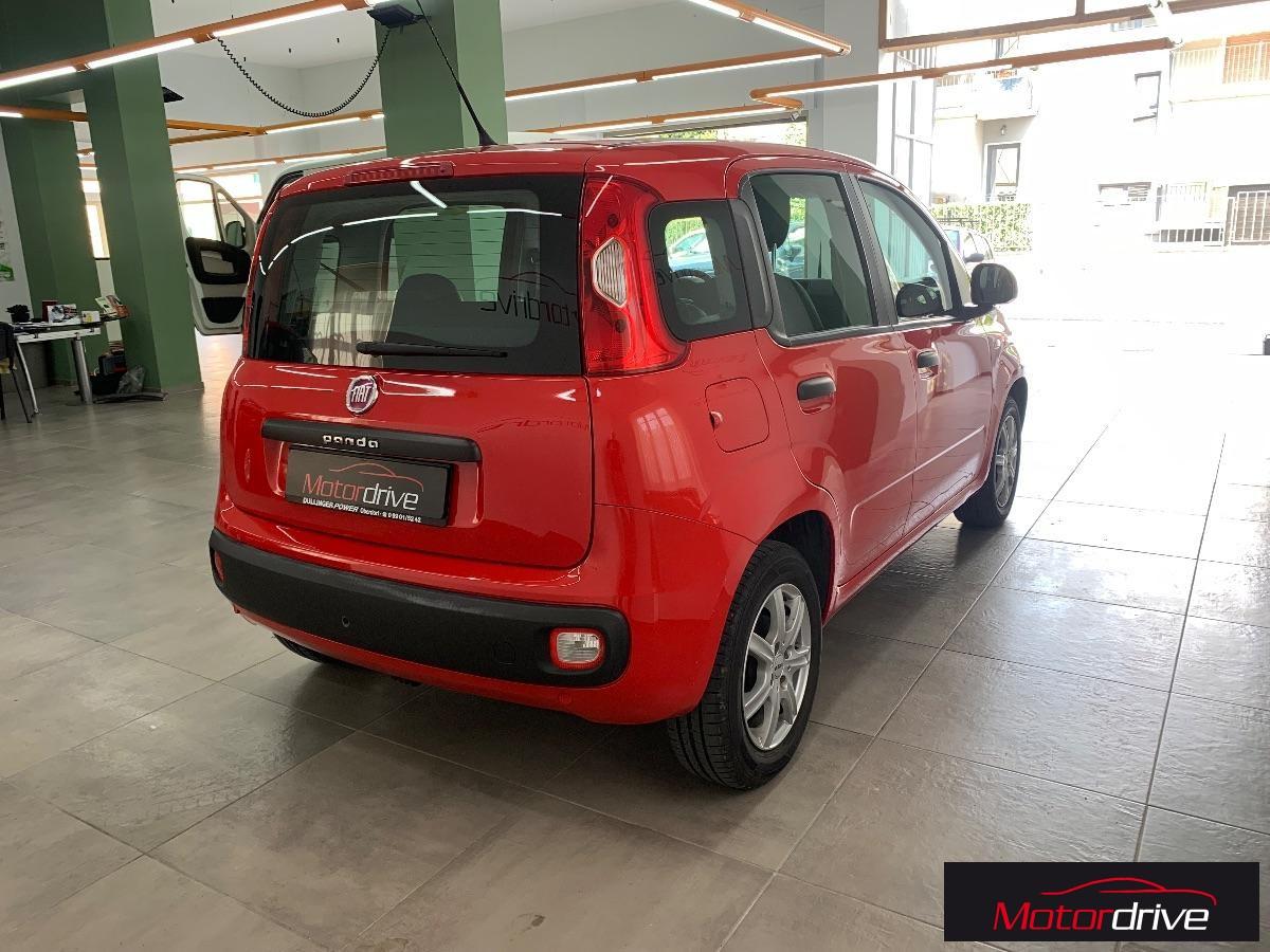 FIAT - Panda - 1.2 Easy