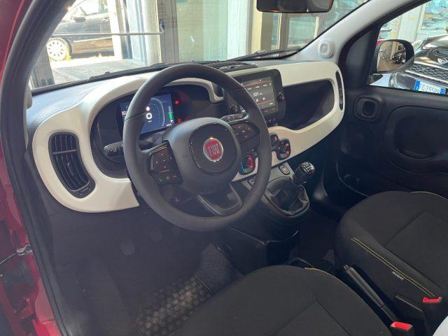 FIAT Panda 1.0 CROSS Hybrid Pandina