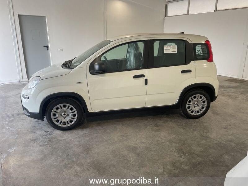 FIAT Panda Serie 7 1.0 70cv HybridPanda