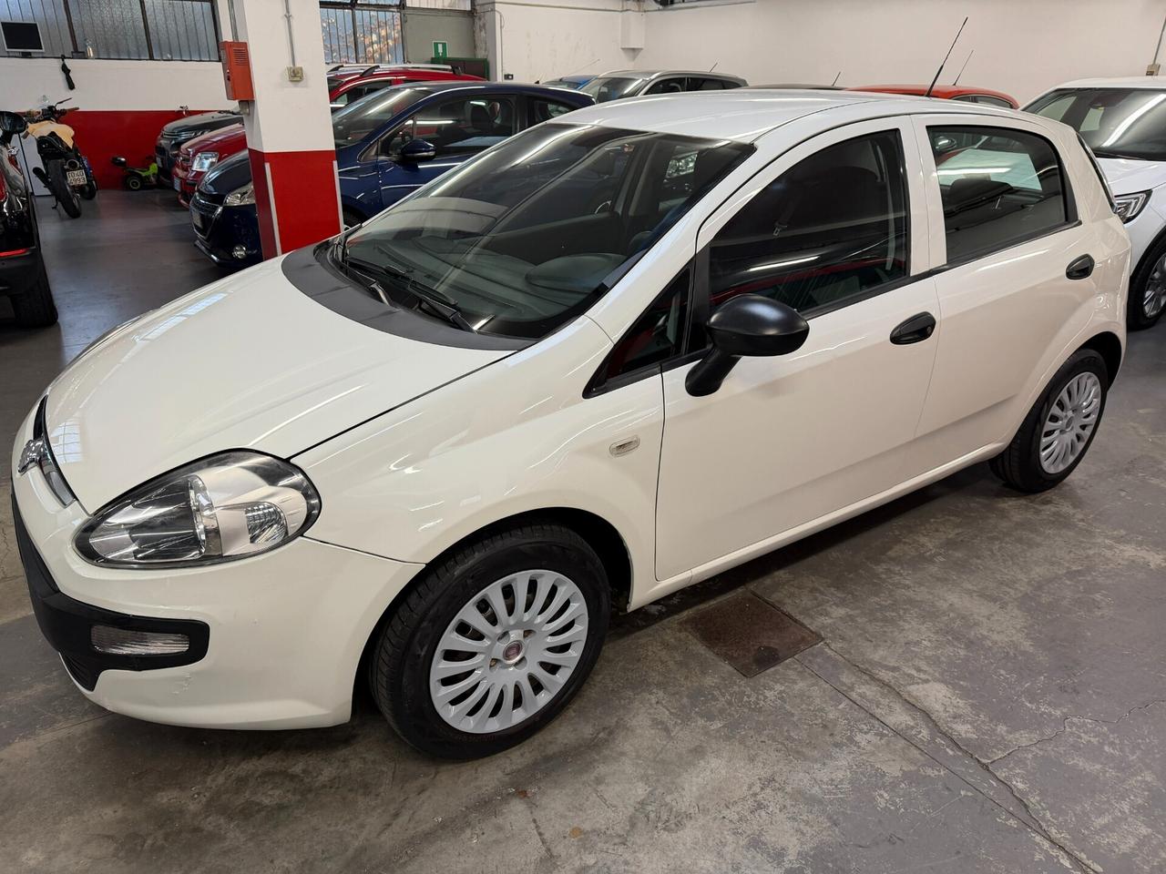 Fiat Punto Evo 1.2 5 porte Active