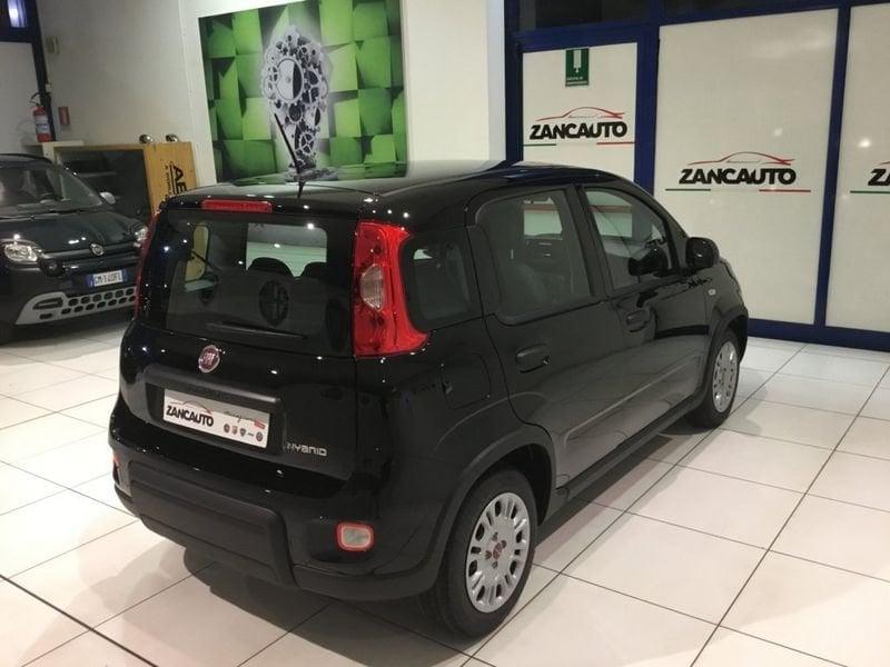 FIAT Panda Panda 1.0 FireFly S&S Hybrid Icon PROMO MESE + TARGA