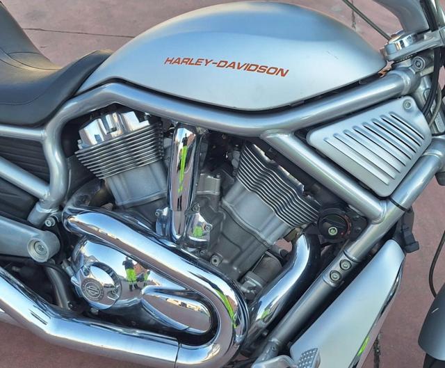 HARLEY-DAVIDSON V-Rod V- ROAD VRSCAW