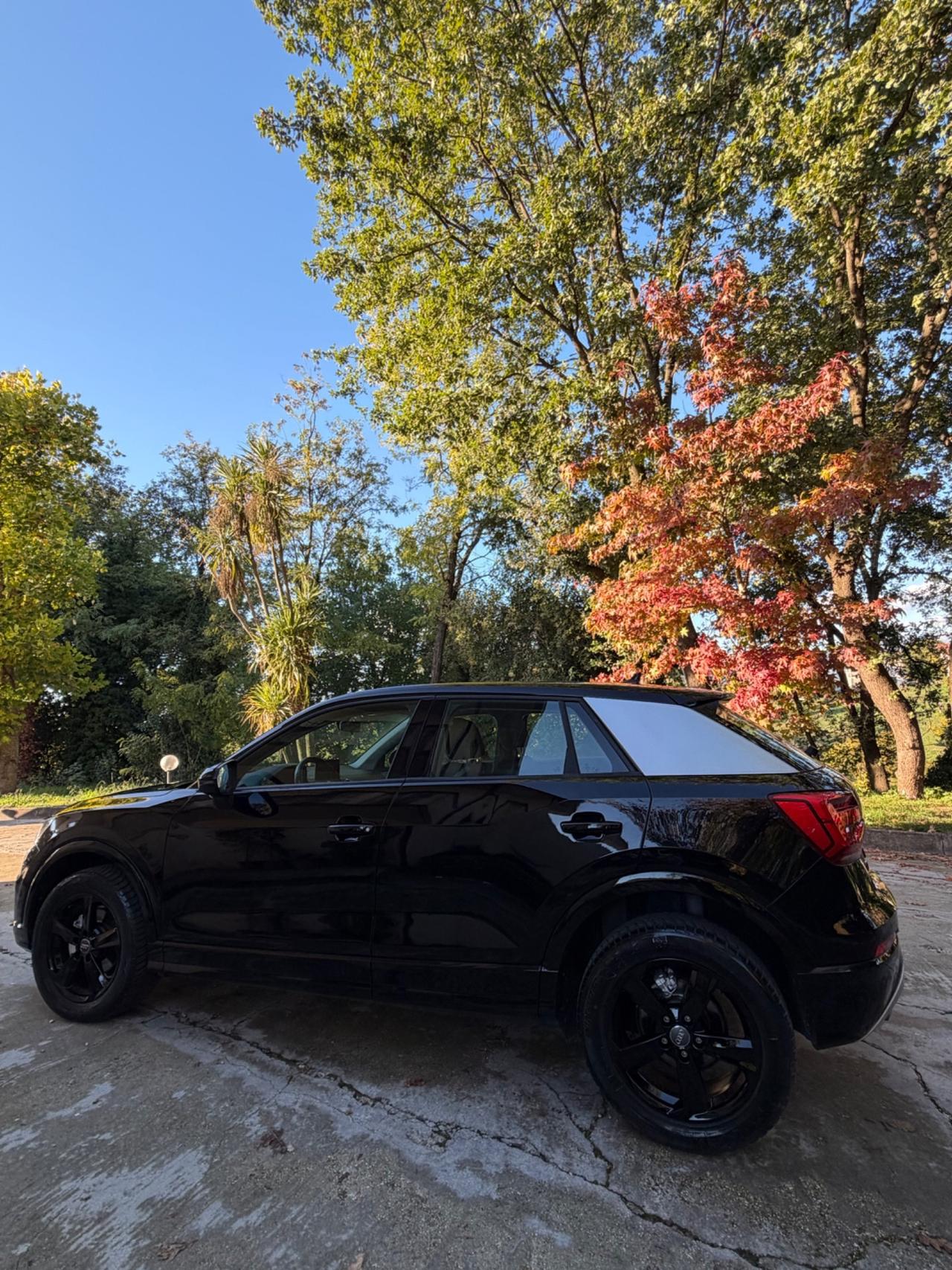 Audi Q2 1.6 S TRONIC 115CV IDENTITYBLACK