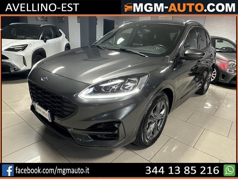 Ford Kuga 1.5 EcoBlue 120 CV aut. 2WD ST-Line X