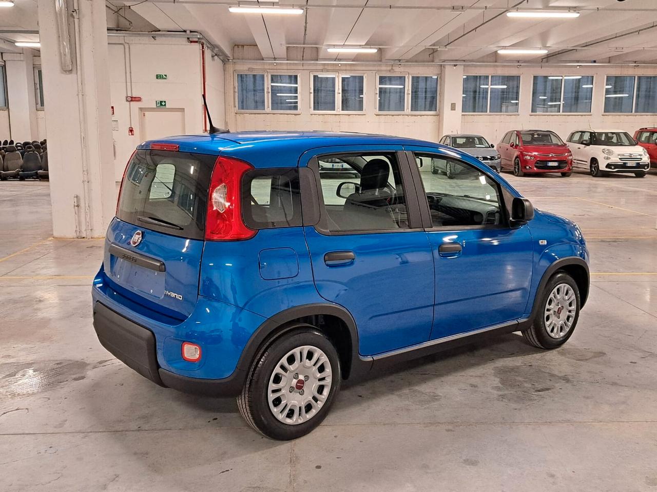 Fiat Panda 1000 FireFly Hybrid 70CV Panda 5 Porte Km. Zero