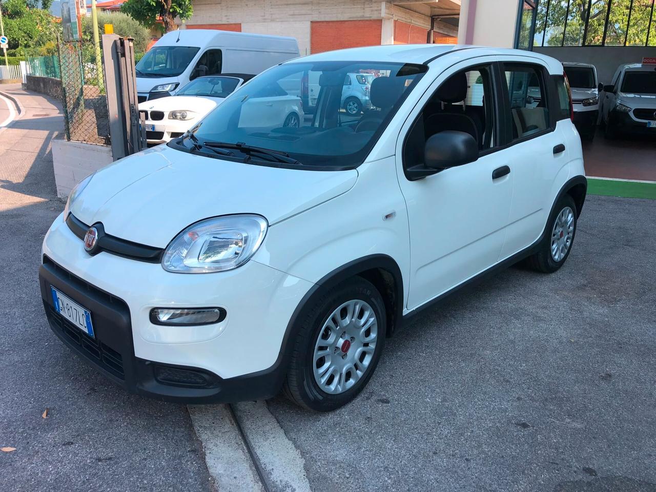 Fiat Panda 1.0 FireFly S&S Hybrid City Life ANNO 2023