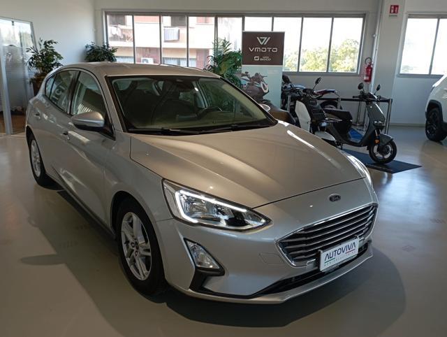FORD Focus 1.5 EcoBlue 95 CV 5p. Plus