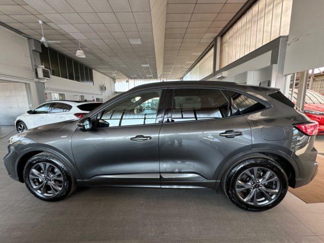 FORD Kuga 1.5 EcoBlue 120 CV AUT 2WD ST-Line