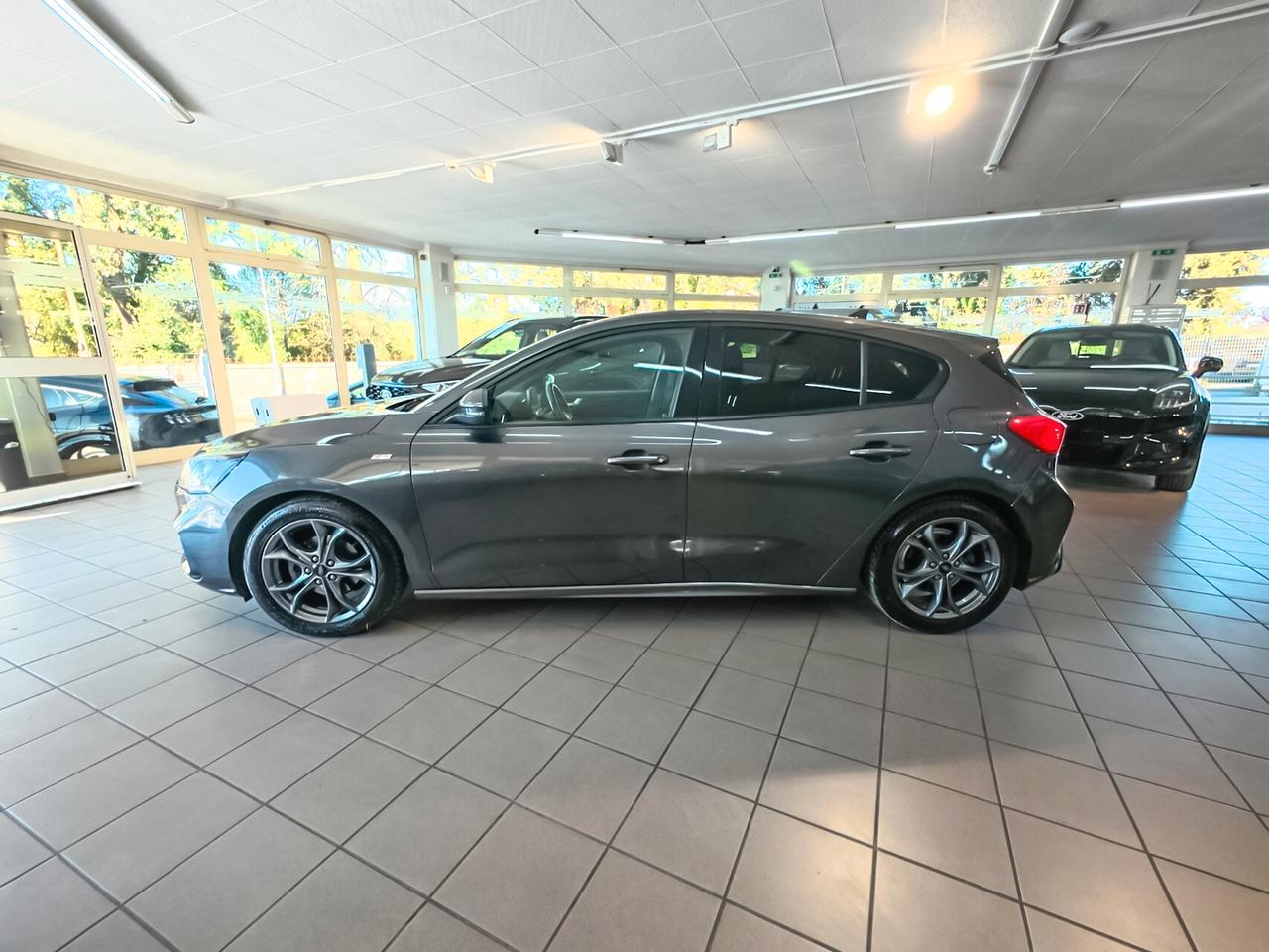 Ford Focus 1.5 EcoBlue 120 CV 5p. ST-Line