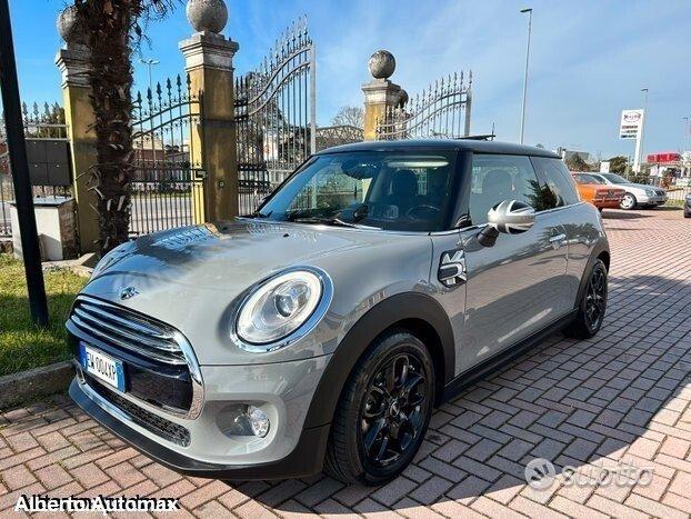 Mini Mini xl