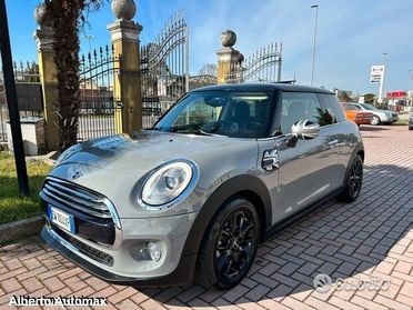 Mini Mini xl