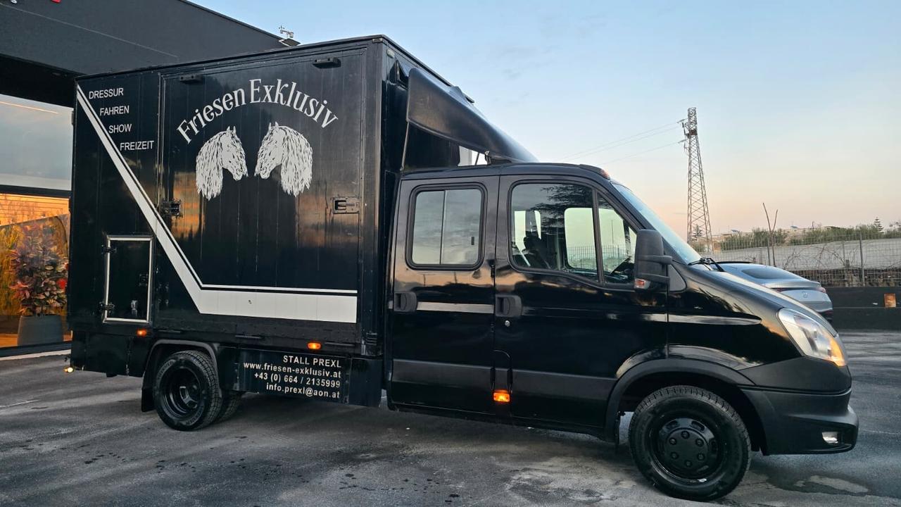 Iveco Daily - Trasporto Cavalli