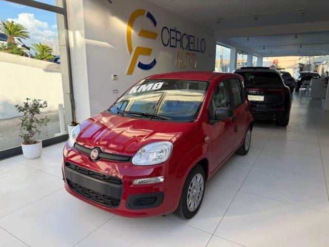 FIAT Panda 1.0 FireFly S&S Hybrid Pop da ?139,00 mensili