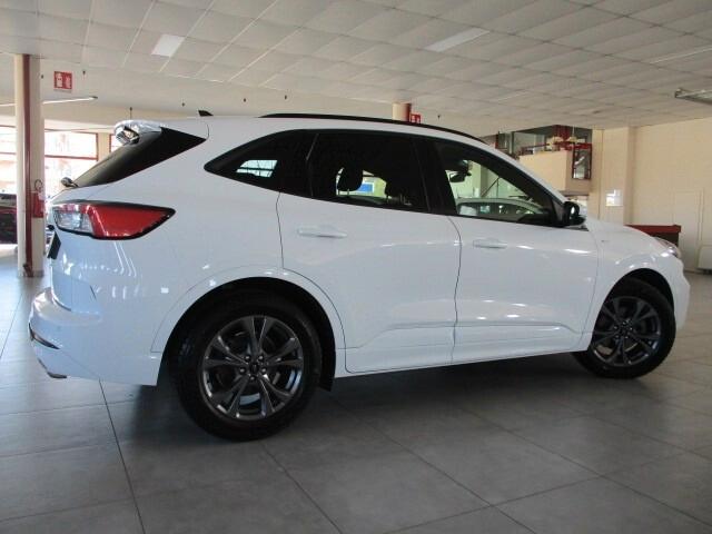 Ford Kuga 1.5 EcoBlue 120 CV aut. 2WD ST-Line