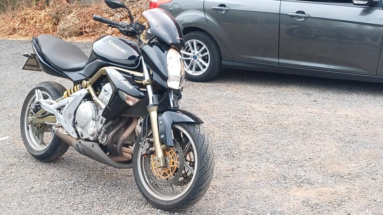 Kawasaki ER 6N Sport