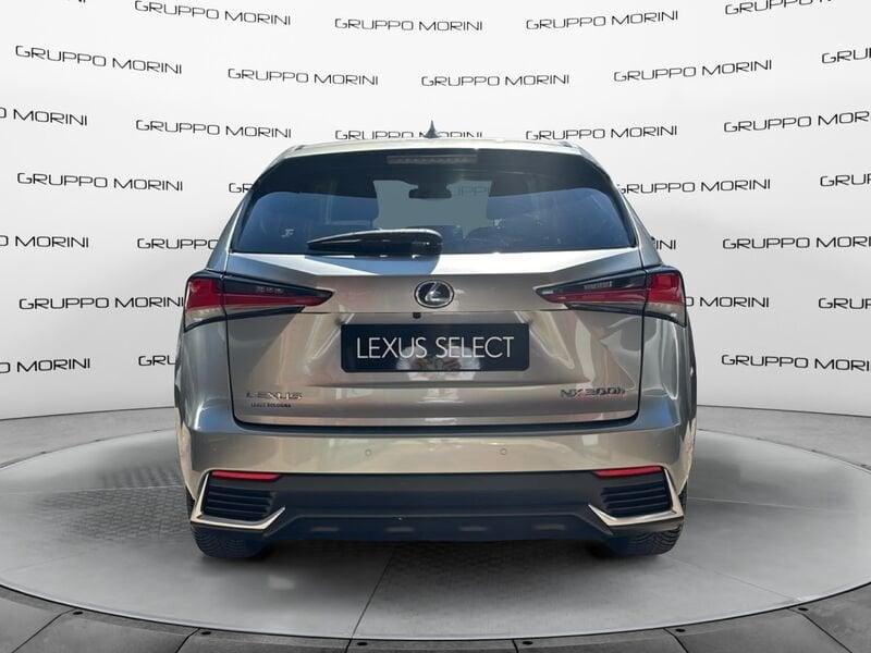 Lexus NX NX 300h 2.5 Luxury 4wd cvt