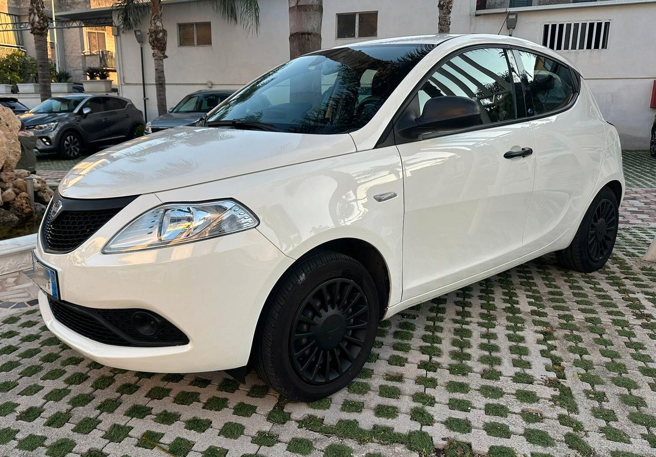 Lancia Ypsilon 1.2 GPL 69CV Elefantino Blu S&S Uff Italy USB