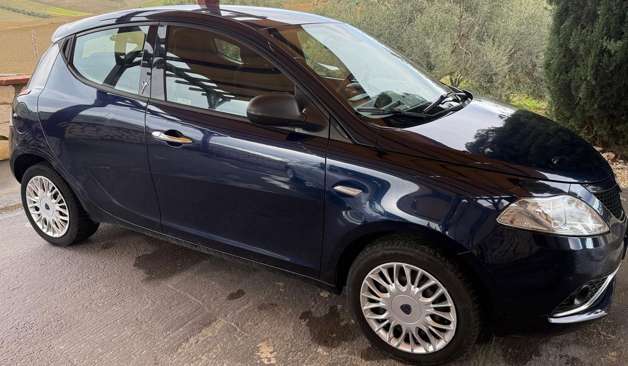 Lancia Ypsilon 1.2 69 CV 5 porte Gold