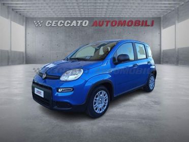 FIAT Panda Panda 1.0 70cv Hybrid Panda