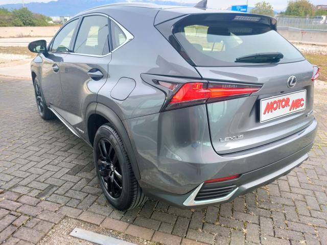 Lexus NX 300 NX 300h 2.5 Business 4wd cvt 24 mesi Garanzia