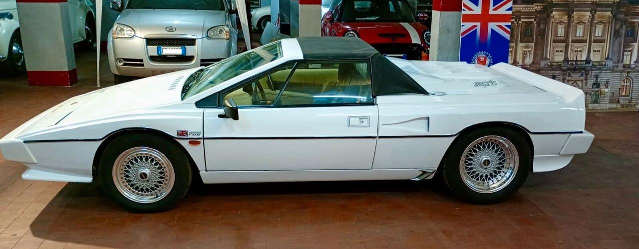 Lotus 79 Esprit