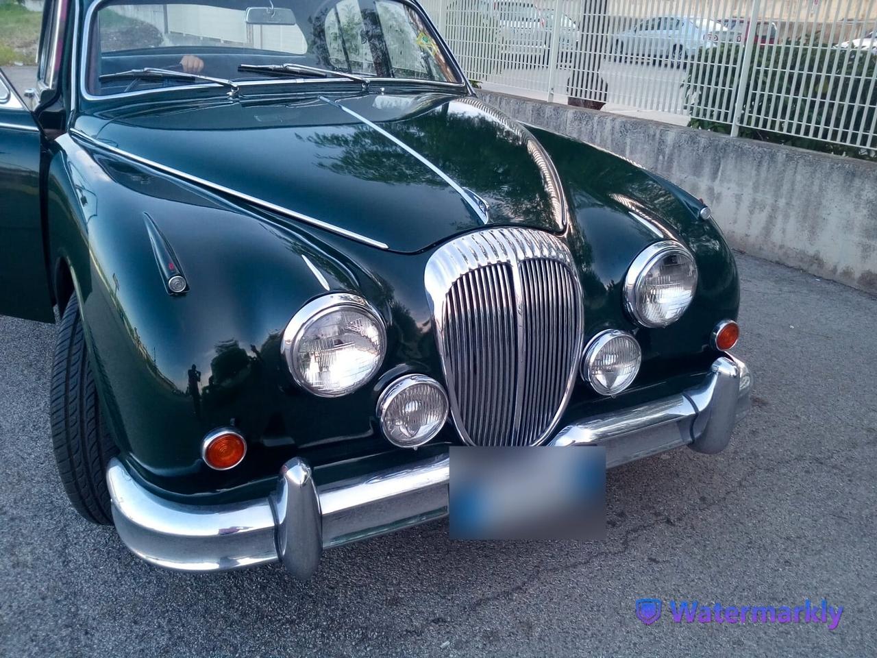 Daimler Super V8 250 •Targa Oro•