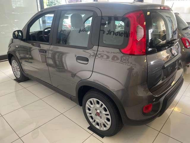 Fiat Panda 1.0 firefly hybrid CityLife PackCitylight5posti