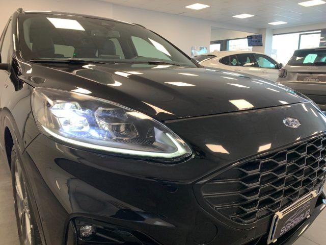 FORD Kuga 1.5 Diesel Automatico ST-Line X StraFull 2WD