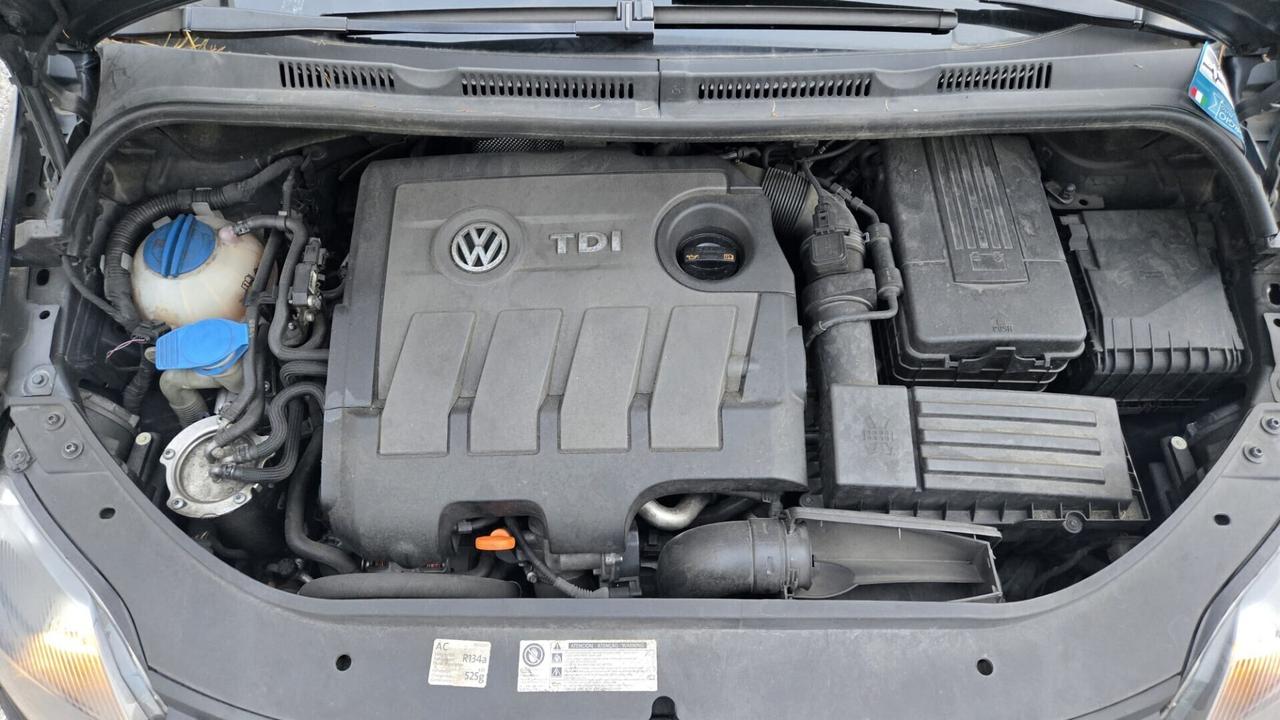 Volkswagen Golf Plus 1.6 TDI x Neopatentati