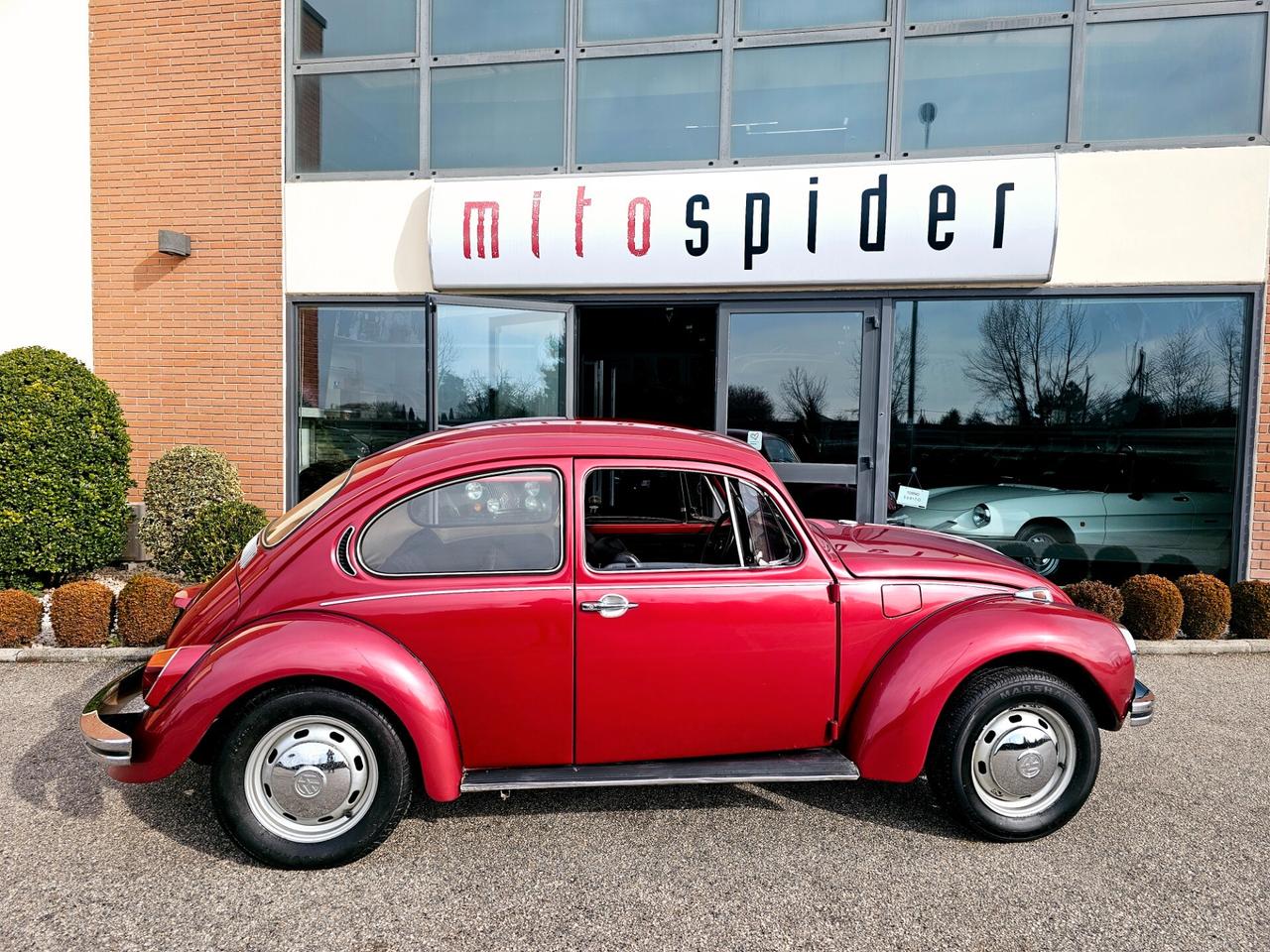 Volkswagen Maggiolino Maggiolone vetro piatto Unicoproprietario