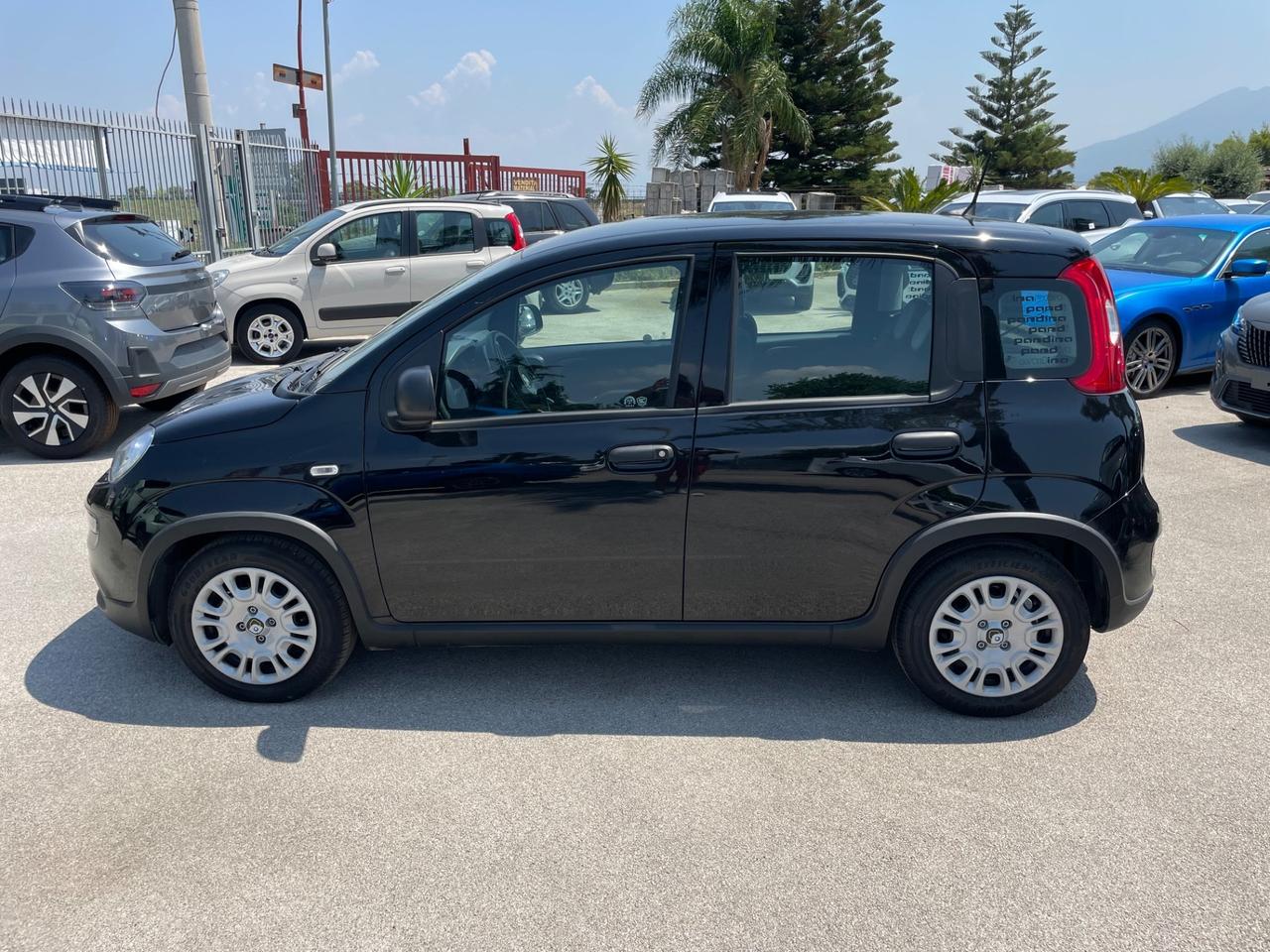 Fiat Pandina a*f*f*a*r*e