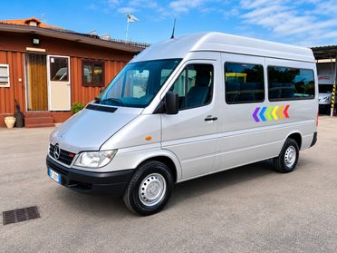 Mercedes Sprinter 311 - 9 Posti Trasporto Disabili