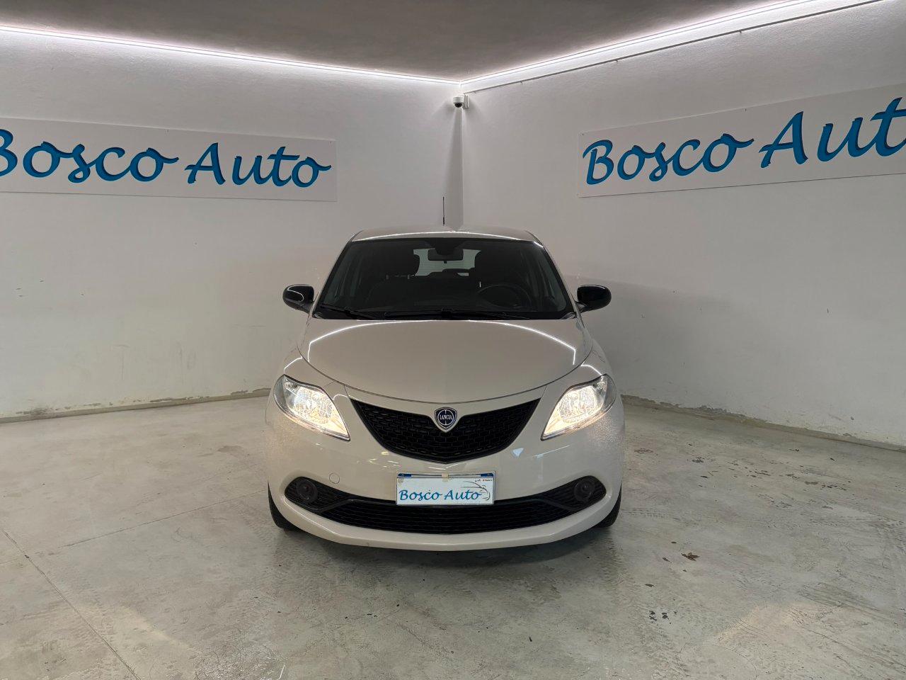 Lancia Ypsilon 5 Porte Ypsilon 1.2 Gold 69cv my16