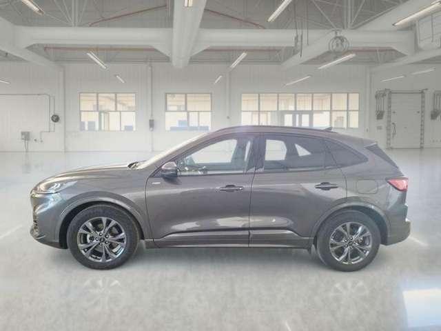 Ford Kuga Kuga 2.0 ecoblue ST-Line 2wd 120cv auto