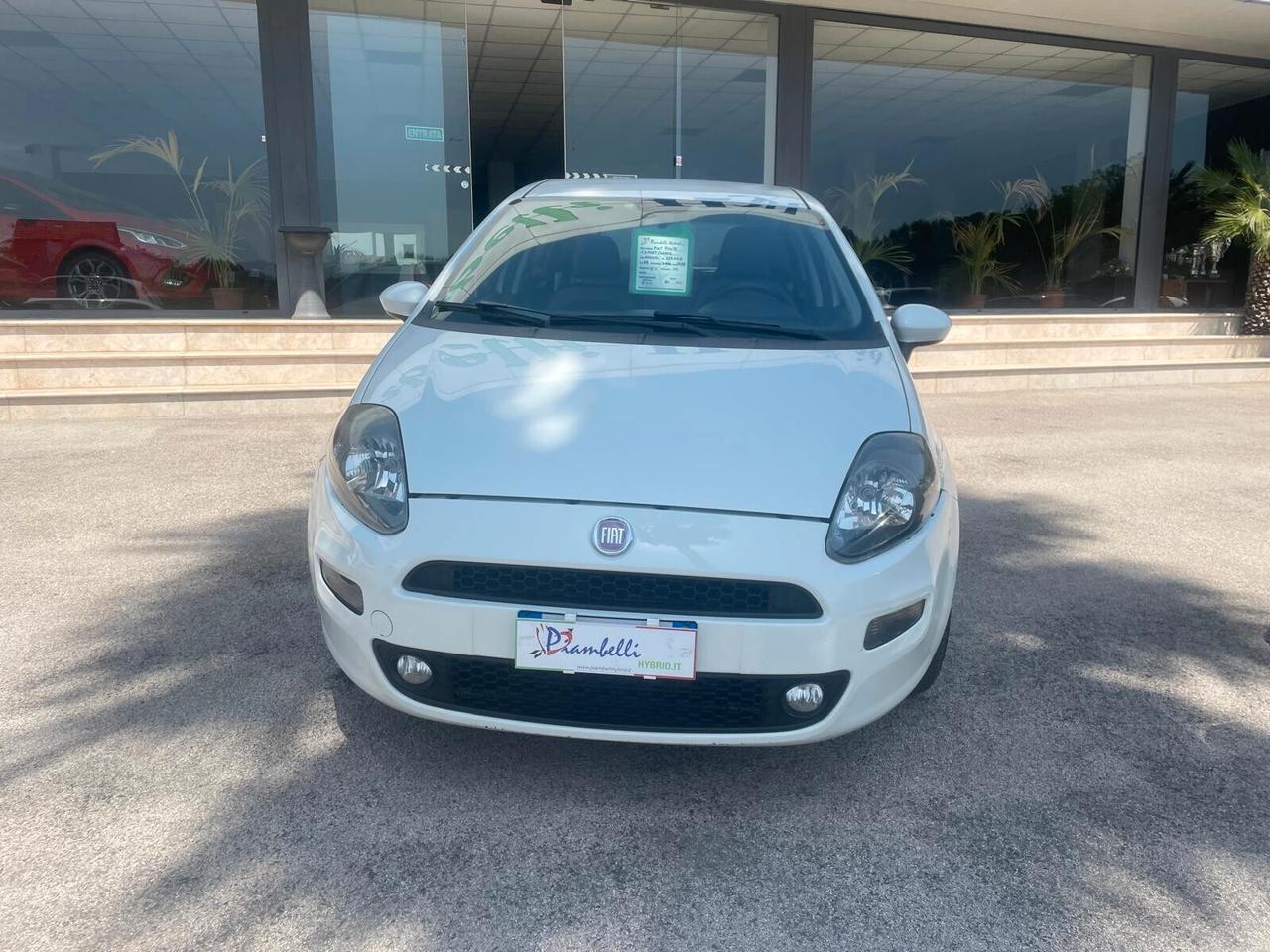 Fiat Punto 1.3 MJT 5 porte Pop NEOPATENTATI