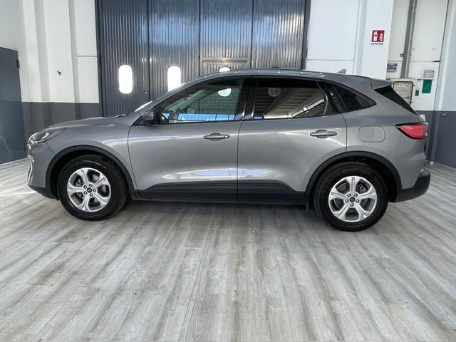 Ford Kuga 1.5 EcoBlue 120 CV aut. 2WD Titanium Business