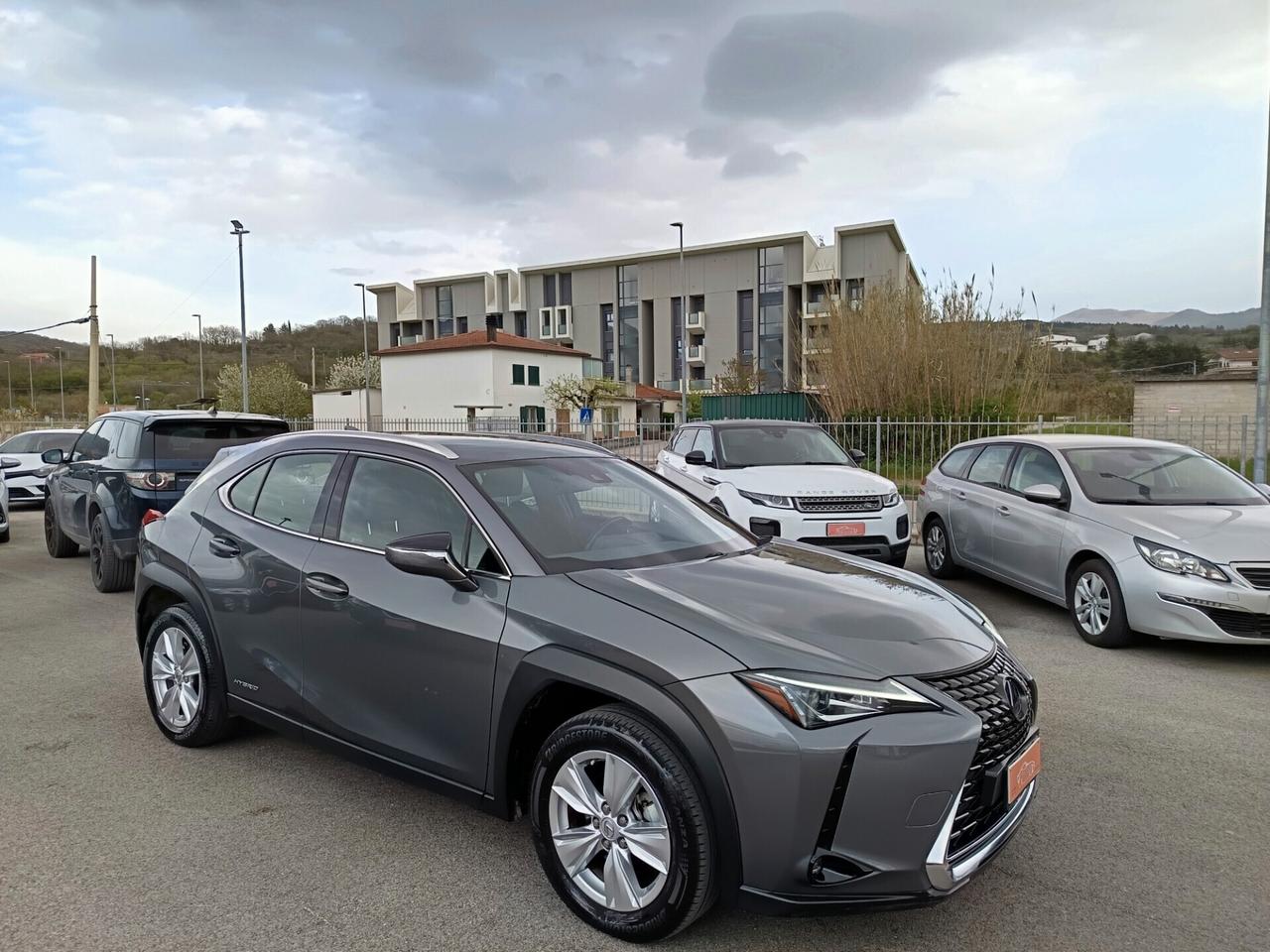 Lexus UX 250h 2.0 Business 2WD CVT MY20