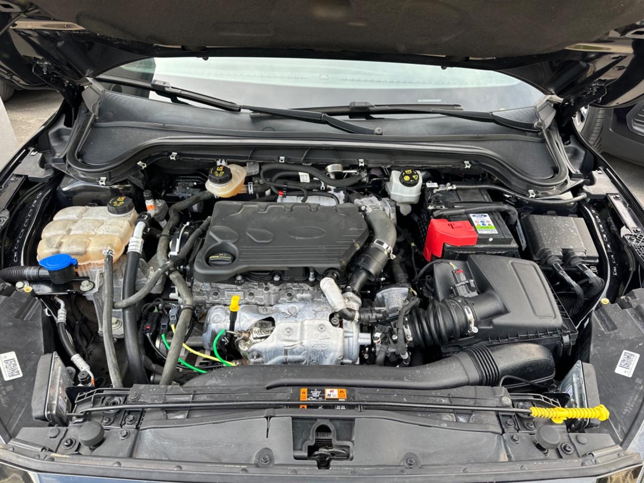 Ford Focus 1.5 EcoBlue 120 CV SW ST Line