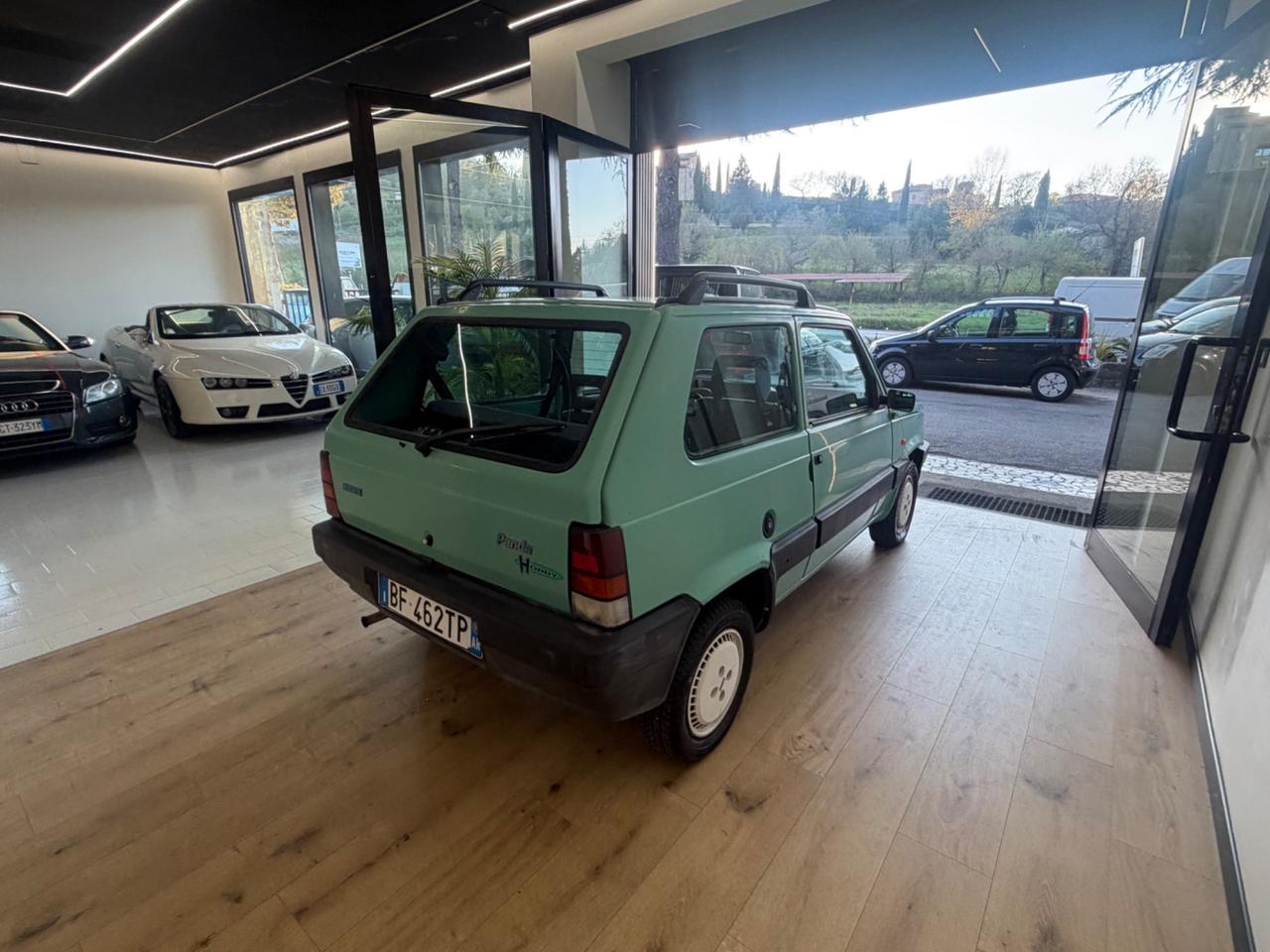Fiat Panda 900 i.e. cat Young