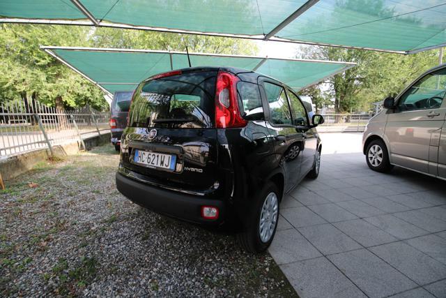 FIAT Panda 1.0 FireFly S&S Hybrid Icon