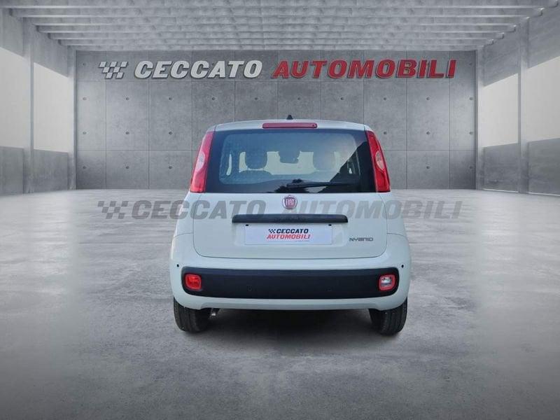 FIAT Pandina Pandina 1.0 65cv Hybrid Icon
