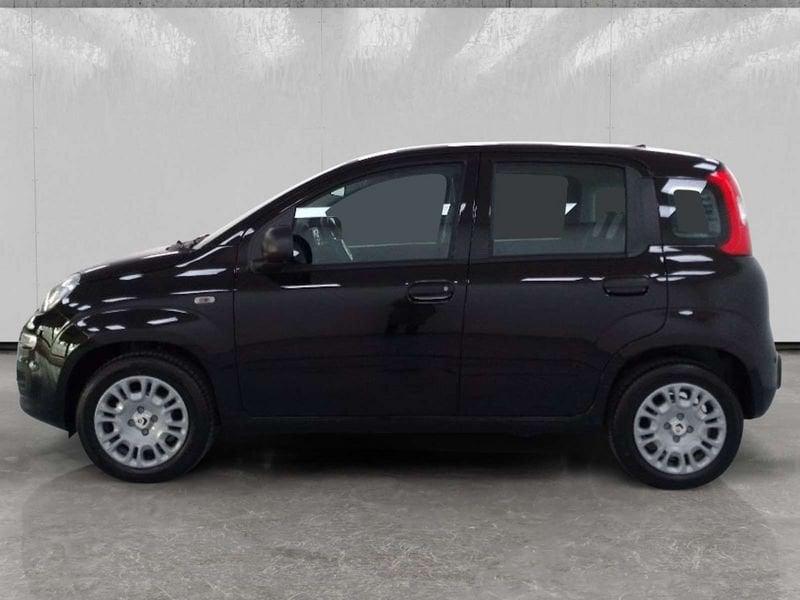 FIAT Pandina 1.0 firefly hybrid Icon s&s 70cv 5p.ti