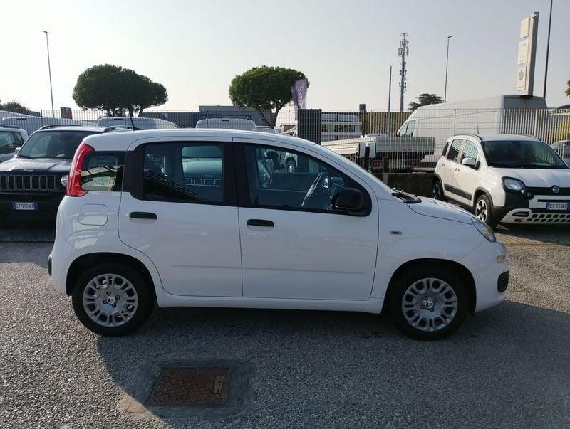 FIAT Pandina Pandina 1.0 firefly hybrid Icon s&s 65cv
