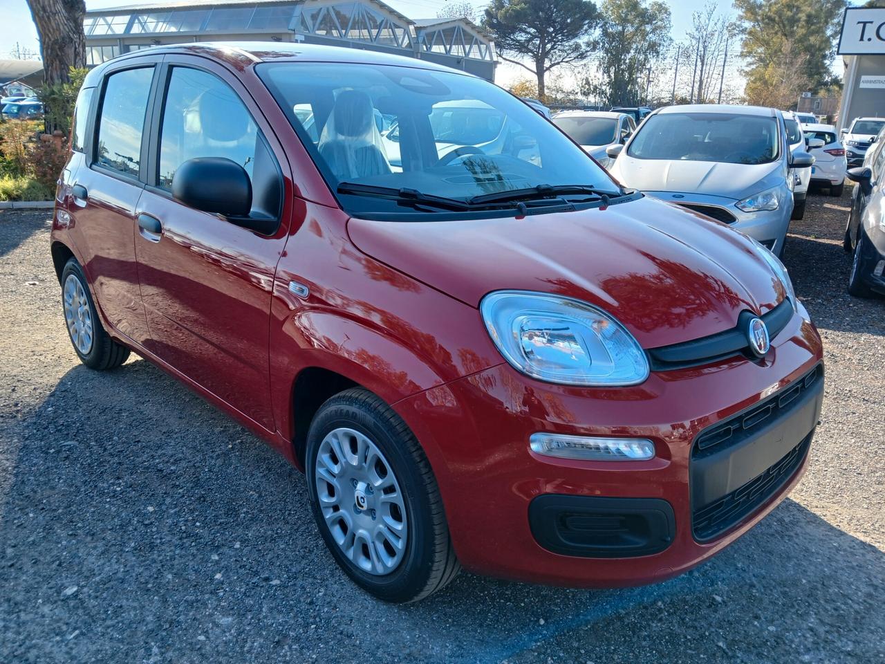 Fiat Panda 1.0 FireFly S&S Hybrid Pandina