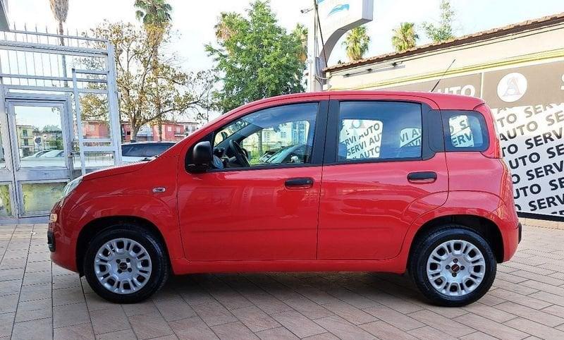 FIAT Panda Panda 1.2 Easy