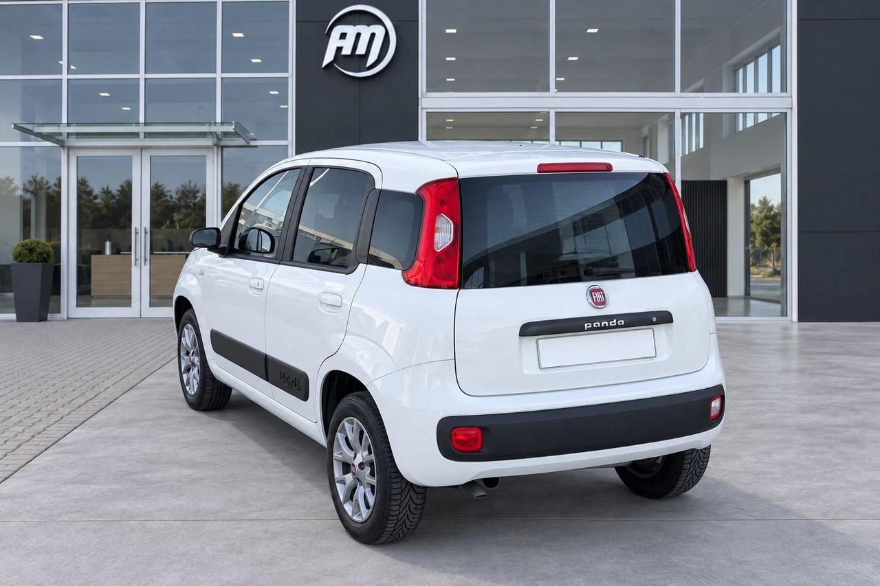 Fiat Panda VAN 1.3 MJT 80 CV 4X4